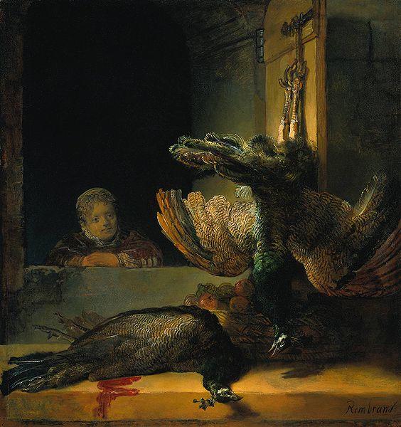 Rembrandt Peale Tote Pfauen oil painting image